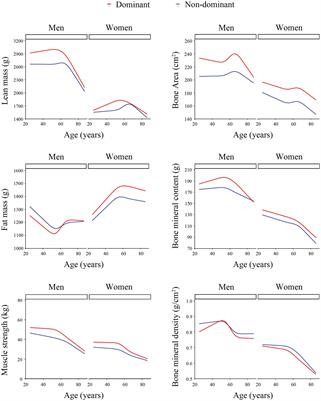 Age-related change in muscle strength, muscle mass, and fat mass between the dominant and non-dominant upper limbs